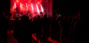 0391 Koza 022